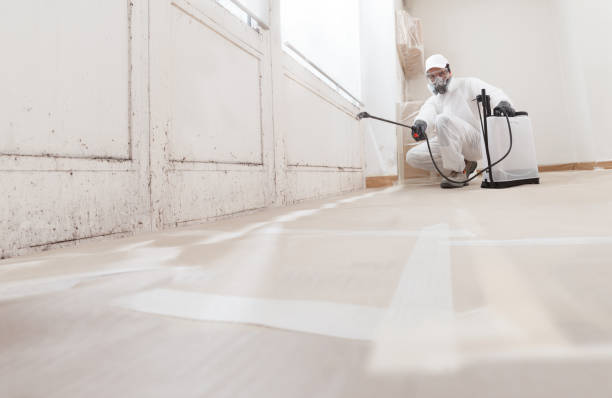 24/7 Emergency Mold Inspection experts in Acton, MA